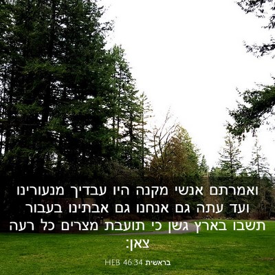 Picture 03 - בראשית 46:34 HEB - ואמרתם אנשי מקנה היו עבדיך - Bible Verse Picture
