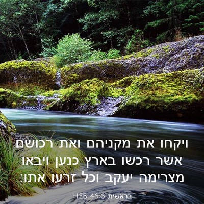 Picture 03 - בראשית 46:6 HEB - ויקחו את מקניהם ואת רכושם - Bible Verse Picture