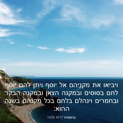 Picture 03 - בראשית 47:17 HEB - ויביאו את מקניהם אל יוסף - Bible Verse Picture
