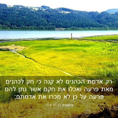Picture 03 - בראשית 47:22 HEB - רק אדמת הכהנים לא קנה כי חק - Bible Verse Picture