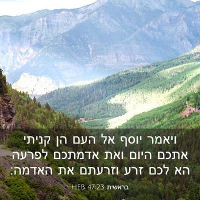 Picture 03 - בראשית 47:23 HEB - ויאמר יוסף אל העם הן קניתי - Bible Verse Picture