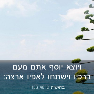 Picture 03 - בראשית 48:12 HEB - ויוצא יוסף אתם מעם ברכיו - Bible Verse Picture