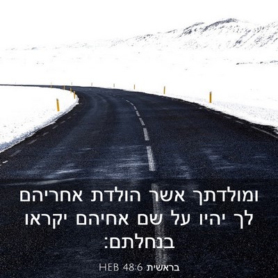 Picture 03 - בראשית 48:6 HEB - ומולדתך אשר הולדת אחריהם - Bible Verse Picture