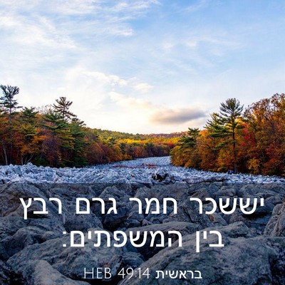 Picture 03 - בראשית 49:14 HEB - יששכר חמר גרם רבץ בין - Bible Verse Picture