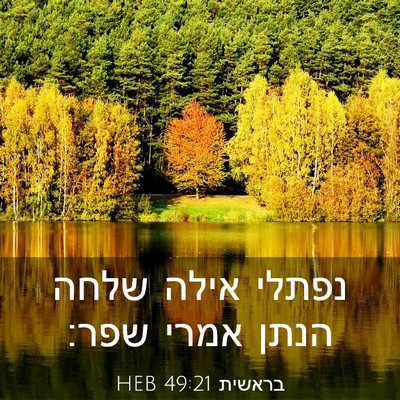 Picture 03 - בראשית 49:21 HEB - נפתלי אילה שלחה הנתן אמרי - Bible Verse Picture