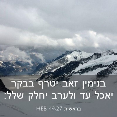 Picture 03 - בראשית 49:27 HEB - בנימין זאב יטרף בבקר יאכל - Bible Verse Picture