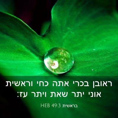 Picture 03 - בראשית 49:3 HEB - ראובן בכרי אתה כחי וראשית - Bible Verse Picture