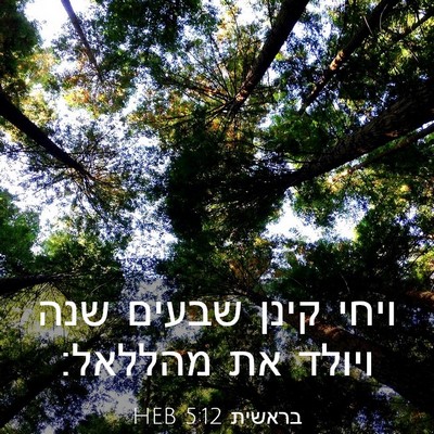 Picture 03 - בראשית 5:12 HEB - ויחי קינן שבעים שנה ויולד - Bible Verse Picture
