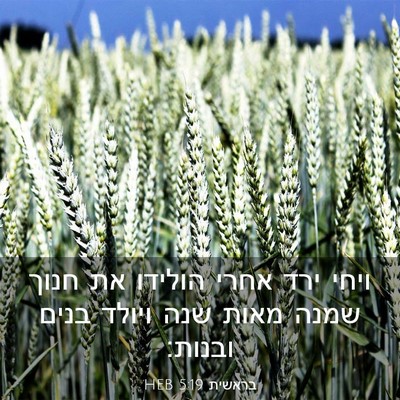 Picture 03 - בראשית 5:19 HEB - ויחי ירד אחרי הולידו את - Bible Verse Picture