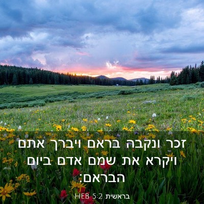 Picture 03 - בראשית 5:2 HEB - זכר ונקבה בראם ויברך אתם - Bible Verse Picture