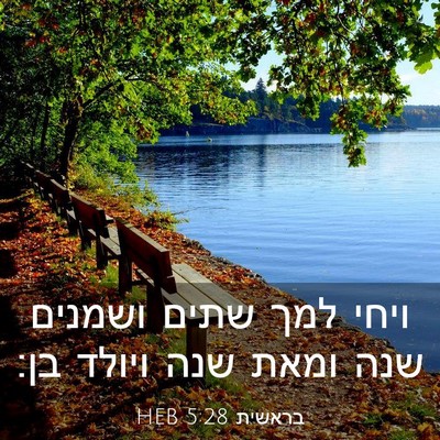 Picture 03 - בראשית 5:28 HEB - ויחי למך שתים ושמנים שנה - Bible Verse Picture