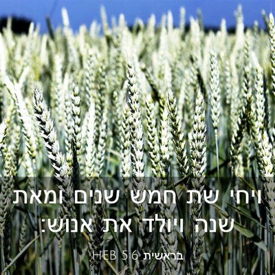 Picture 03 - בראשית 5:6 HEB - ויחי שת חמש שנים ומאת שנה - Bible Verse Picture