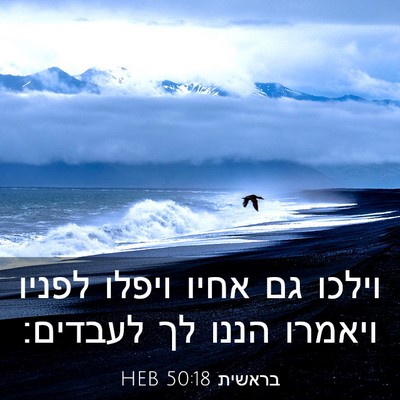 Picture 03 - בראשית 50:18 HEB - וילכו גם אחיו ויפלו לפניו - Bible Verse Picture