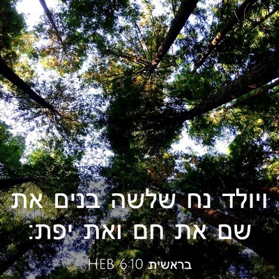 Picture 03 - בראשית 6:10 HEB - ויולד נח שלשה בנים את שם את - Bible Verse Picture