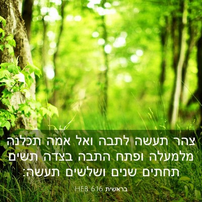 Picture 03 - בראשית 6:16 HEB - צהר תעשה לתבה ואל אמה תכלנה - Bible Verse Picture