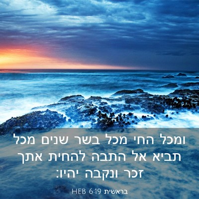 Picture 03 - בראשית 6:19 HEB - ומכל החי מכל בשר שנים מכל - Bible Verse Picture
