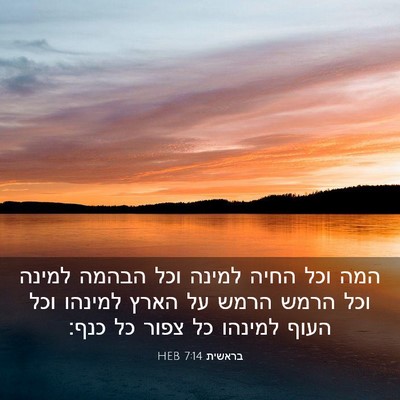 Picture 03 - בראשית 7:14 HEB - המה וכל החיה למינה וכל - Bible Verse Picture