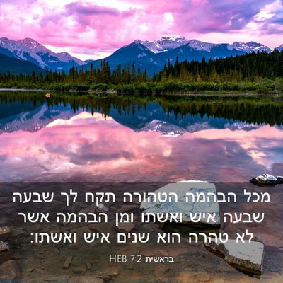 Picture 03 - בראשית 7:2 HEB - מכל הבהמה הטהורה תקח לך - Bible Verse Picture