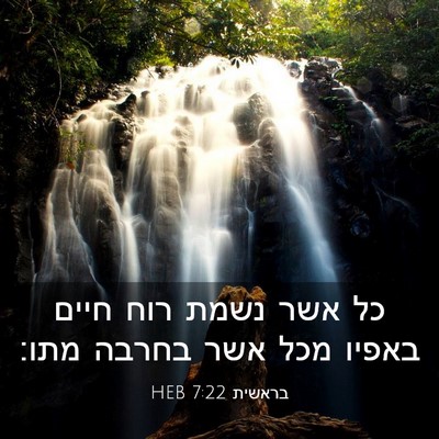 Picture 03 - בראשית 7:22 HEB - כל אשר נשמת רוח חיים באפיו - Bible Verse Picture