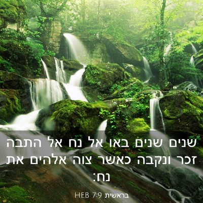 Picture 03 - בראשית 7:9 HEB - שנים שנים באו אל נח אל התבה - Bible Verse Picture