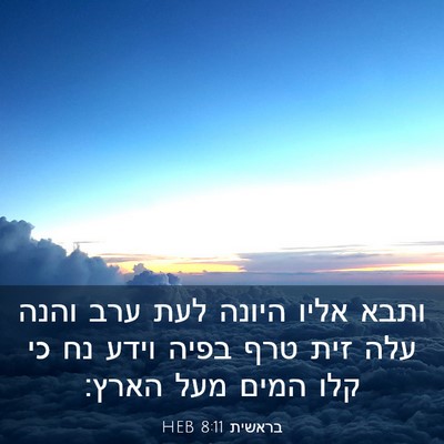 Picture 03 - בראשית 8:11 HEB - ותבא אליו היונה לעת ערב - Bible Verse Picture