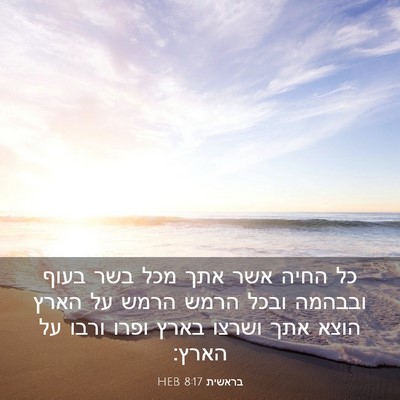 Picture 03 - בראשית 8:17 HEB - כל החיה אשר אתך מכל בשר - Bible Verse Picture