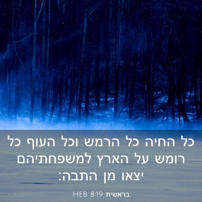 Picture 03 - בראשית 8:19 HEB - כל החיה כל הרמש וכל העוף כל - Bible Verse Picture