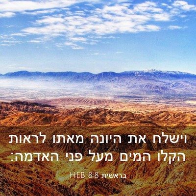 Picture 03 - בראשית 8:8 HEB - וישלח את היונה מאתו לראות - Bible Verse Picture