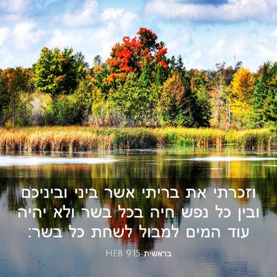 Picture 03 - בראשית 9:15 HEB - וזכרתי את בריתי אשר ביני - Bible Verse Picture