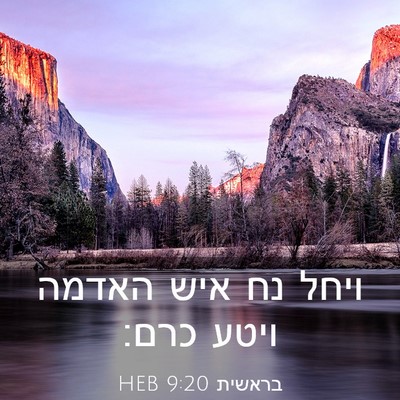 Picture 03 - בראשית 9:20 HEB - ויחל נח איש האדמה ויטע - Bible Verse Picture
