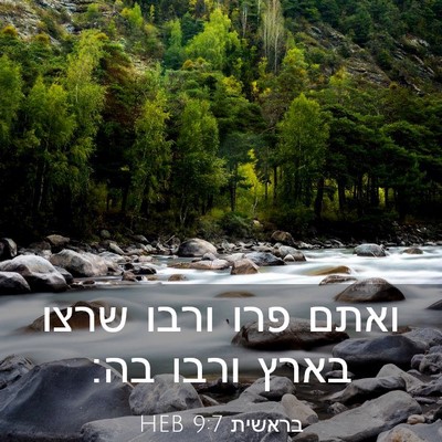 Picture 03 - בראשית 9:7 HEB - ואתם פרו ורבו שרצו בארץ - Bible Verse Picture