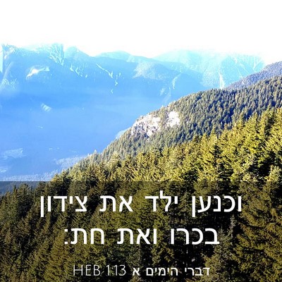 Picture 03 - דברי הימים א 1:13 HEB - וכנען ילד את צידון בכרו ואת - Bible Verse Picture