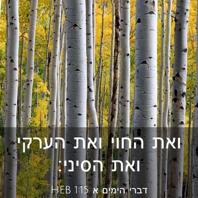 Picture 03 - דברי הימים א 1:15 HEB - ואת החוי ואת הערקי ואת - Bible Verse Picture