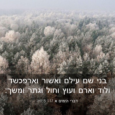 Picture 03 - דברי הימים א 1:17 HEB - בני שם עילם ואשור וארפכשד - Bible Verse Picture