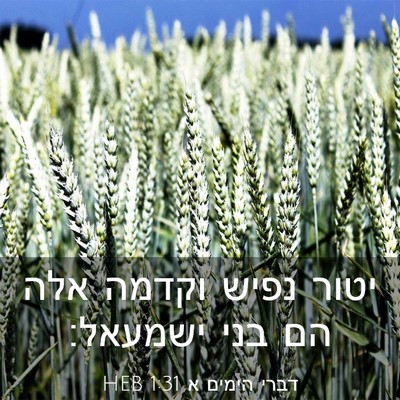 Picture 03 - דברי הימים א 1:31 HEB - יטור נפיש וקדמה אלה הם בני - Bible Verse Picture