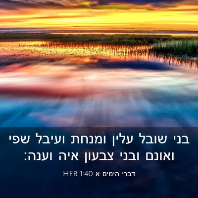 Picture 03 - דברי הימים א 1:40 HEB - בני שובל עלין ומנחת ועיבל - Bible Verse Picture