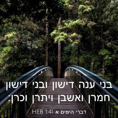 Picture 03 - דברי הימים א 1:41 HEB - בני ענה דישון ובני דישון - Bible Verse Picture