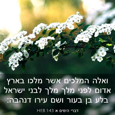 Picture 03 - דברי הימים א 1:43 HEB - ואלה המלכים אשר מלכו בארץ - Bible Verse Picture