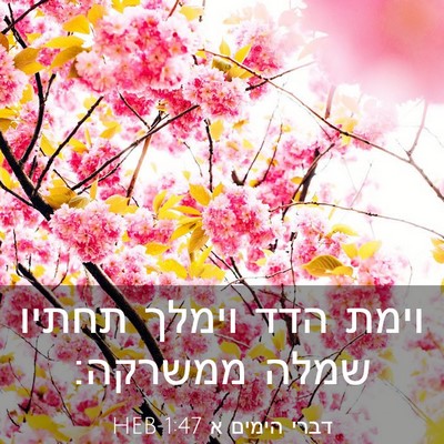 Picture 03 - דברי הימים א 1:47 HEB - וימת הדד וימלך תחתיו שמלה - Bible Verse Picture