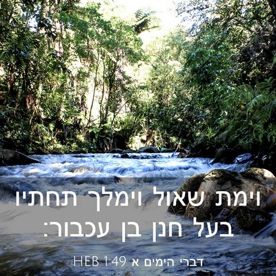 Picture 03 - דברי הימים א 1:49 HEB - וימת שאול וימלך תחתיו בעל - Bible Verse Picture