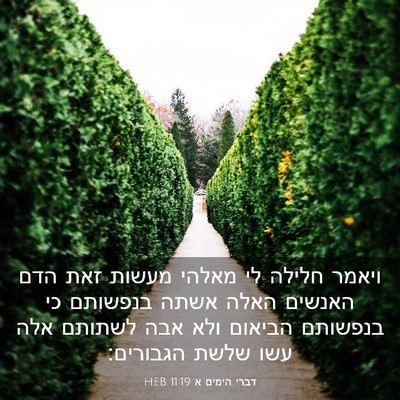 Picture 03 - דברי הימים א 11:19 HEB - ויאמר חלילה לי מאלהי מעשות - Bible Verse Picture