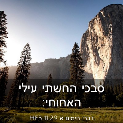 Picture 03 - דברי הימים א 11:29 HEB - סבכי החשתי עילי - Bible Verse Picture