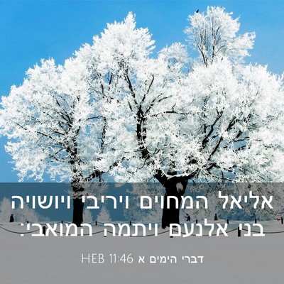 Picture 03 - דברי הימים א 11:46 HEB - אליאל המחוים ויריבי - Bible Verse Picture