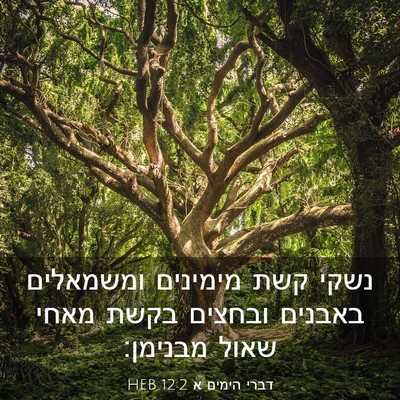 Picture 03 - דברי הימים א 12:2 HEB - נשקי קשת מימינים ומשמאלים - Bible Verse Picture