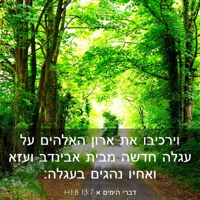 Picture 03 - דברי הימים א 13:7 HEB - וירכיבו את ארון האלהים על - Bible Verse Picture