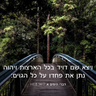 Picture 03 - דברי הימים א 14:17 HEB - ויצא שם דויד בכל הארצות - Bible Verse Picture