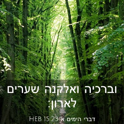 Picture 03 - דברי הימים א 15:23 HEB - וברכיה ואלקנה שערים - Bible Verse Picture