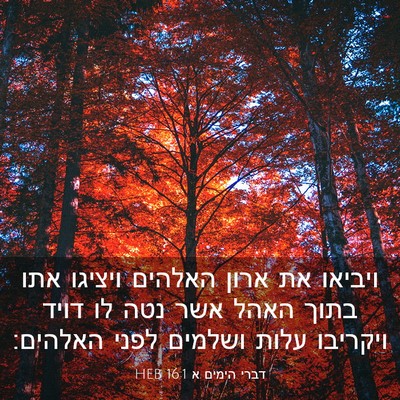 Picture 03 - דברי הימים א 16:1 HEB - ויביאו את ארון האלהים - Bible Verse Picture