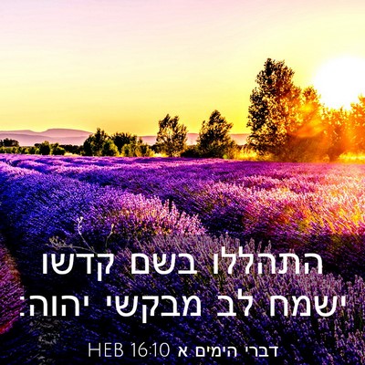 Picture 03 - דברי הימים א 16:10 HEB - התהללו בשם קדשו ישמח לב - Bible Verse Picture