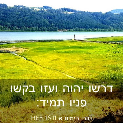 Picture 03 - דברי הימים א 16:11 HEB - דרשו יהוה ועזו בקשו פניו - Bible Verse Picture